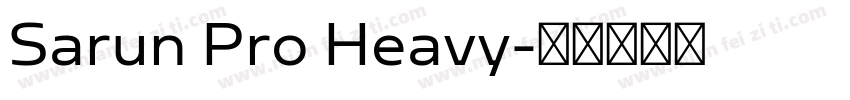 Sarun Pro Heavy字体转换